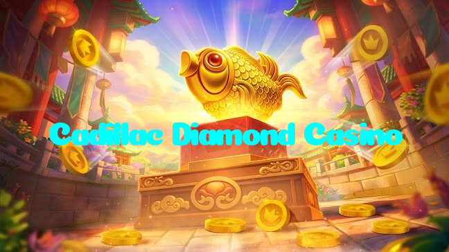 available types of Cadillac Diamond Casino bet including pre-match live express and system bets